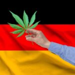 Where to Find the Best Hemp in Germany