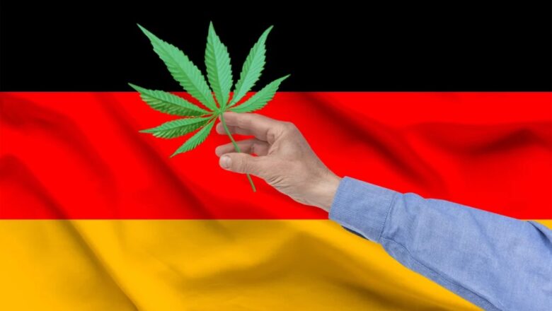 Where to Find the Best Hemp in Germany